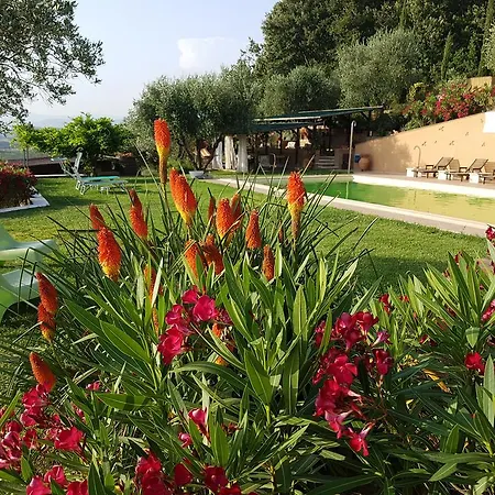 Il Pungitopo Casa rural *